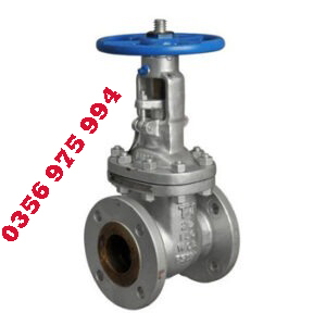 1. Gate valve DN25