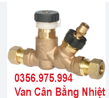 Van Cân Bằng Nhiệt Thermal Circulation Valves 4