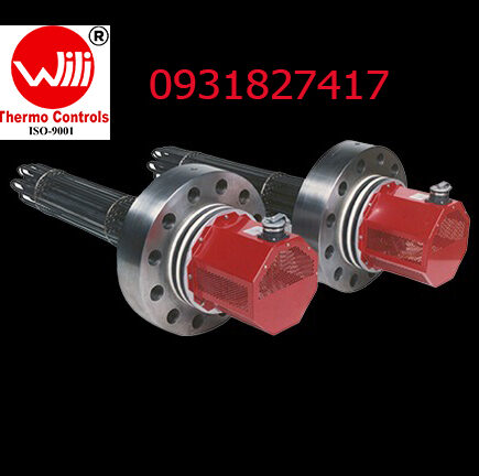 Heater mặt bích