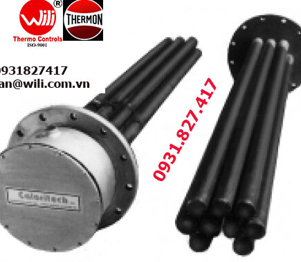 1. Máy sưởi vít CXI20256-01, Screwplug Heaters CXI20256-01 Screwplug Heaters CXI20256-01 FLANGED HEATER (CXC,CXI)
