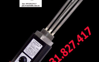 Screwplug Heaters CXST5696-02 Máy sưởi vít CXI20256-01, Screwplug Heaters CXI20256-01