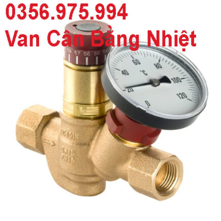 Van Cân Bằng Nhiệt Thermal Circulation Valves 5